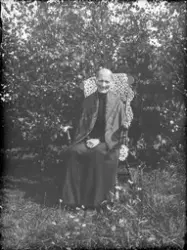 Gustav Älanders fotosamling