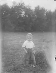 Hjalmar Johanssons fotosamling
