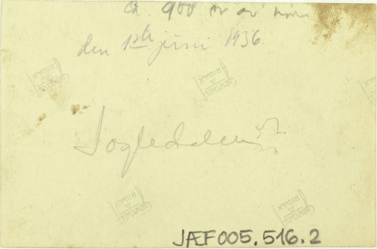 Eit snødekt fjellandskap med ei elv. På baksida av bildet står det: "ca. 900 m over havet den 1ste juni 1936. Jogledalen?".