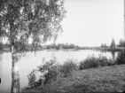 Gideå socken. Gideå bruk: Gideälven och herrgården.
Foto september 1916.
Fotograf: W. Wångström, Ö-vik.
No. 47 i 