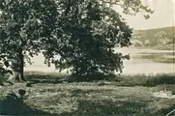 Parti av Gustafsberg.

Stämplad i högra hörnet: Maria Lundbä