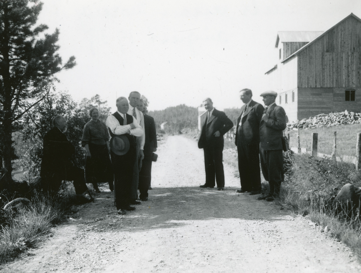 Kornrådet under befaring på bureisingfelt i Fræna og Hustad 20. august 1938.