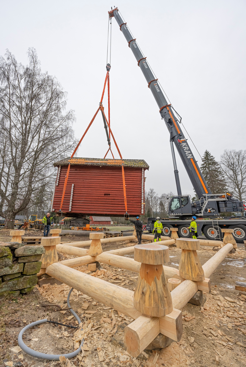 Heising av stabburet på klokkergarden Fossum på Norsk skogmuseum høsten 2024. Stabburet er en laftekonstruksjon som er om lag 8,4 meter langt, 6,2 meter bredt og har en rafthøyde på 4,4 meter. Det dreier seg med andre ord om en tung konstruksjon, og det hadde gjennom flere år bekymret personalet ved Norsk skogmuseum, som eier bygningen (jfr. SJF-B.0020), at den var i ferd med å synke ned i bakken. Dette førte til råteskader på svillramma og stabbene, særlig i den østre enden. Det var åpenbar fare for at underbygningen kunne kollapse, noe som kunne gitt alvorlige skader på «laftekassa». Tømrer Knut-Arild Nordli ble engasjert til å refundamentere bygningen. Den ble midlertidig løftet til side ved hjelp av kranbilen vi ser på dette bildet. Deretter ble det støpt betongsåler under bakkenivå som underlag for de ni laftesteinene som skulle bære den nye svillramma. På krysningspunktene i denne ramma – over de nevnte laftesteinene – ble det plassert ni cirka 70 centimeter høye stabber av furu med om lag 50 centimeters diameter. Deretter kunne bygningen løftes på plass igjen, slik vi ser det på dette bildet. Til venstre ser vi maskinentreprenør Arne Senderud, deretter følger tømrer Knut-Arild Nordli (i svart) og de to karene fra kranselskapet TL-kran. Martin – helt til høyre – styrte krana fra et bærbart bord med joystick. Instrumentene til kranselskapet viste at bygningen veide drøyt 28 tonn.