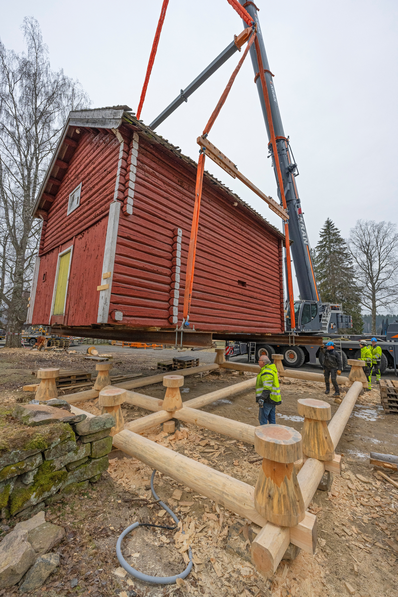 Heising av stabburet på klokkergarden Fossum på Norsk skogmuseum høsten 2024. Stabburet er en laftekonstruksjon som er om lag 8,4 meter langt, 6,2 meter bredt og har en rafthøyde på 4,4 meter. Det dreier seg med andre ord om en tung konstruksjon, og det hadde gjennom flere år bekymret personalet ved Norsk skogmuseum, som eier bygningen (jfr. SJF-B.0020), at den var i ferd med å synke ned i bakken. Dette førte til råteskader på svillramma og stabbene, særlig i den østre enden. Det var åpenbar fare for at underbygningen kunne kollapse, noe som kunne gitt alvorlige skader på «laftekassa». Tømrer Knut-Arild Nordli ble engasjert til å refundamentere bygningen. Den ble midlertidig løftet til side ved hjelp av kranbilen vi ser på dette bildet. Deretter ble det støpt betongsåler under bakkenivå som underlag for de ni laftesteinene som skulle bære den nye svillramma. På krysningspunktene i denne ramma – over de nevnte laftesteinene – ble det plassert ni cirka 70 centimeter høye stabber av furu med om lag 50 centimeters diameter. Deretter kunne bygningen løftes på plass igjen, slik vi ser det på dette bildet. Da dette fotografiet ble tatt sto maskinentreprenør Arne Senderud og Knut-Arild Nordli inne i svillramma for å «møte» bygningen, som langsomt ble svingt på plass. Den bakerste av de to karene fra firmaet TL-kran styrte løftet (lengst til høyre i bakgrunnen) via et bærbart bord med joystick. Instrumentene til kranselskapet viste at bygningen veide drøyt 28 tonn.