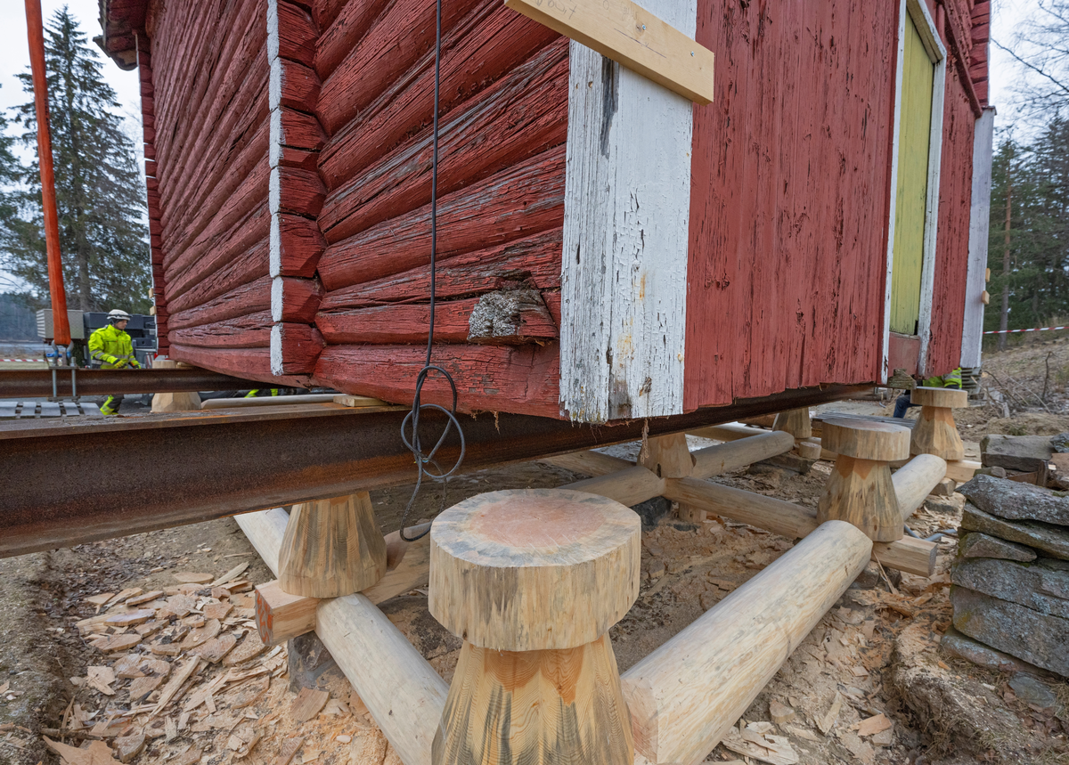 Heising av stabburet på klokkergarden Fossum på Norsk skogmuseum høsten 2024. Stabburet er en laftekonstruksjon som er om lag 8,4 meter langt, 6,2 meter bredt og har en rafthøyde på 4,4 meter. Det dreier seg med andre ord om en tung konstruksjon, og det hadde gjennom flere år bekymret personalet ved Norsk skogmuseum, som eier bygningen (jfr. SJF-B.0020), at den var i ferd med å synke ned i bakken. Dette førte til råteskader på svillramma og stabbene, særlig i den østre enden. Det var åpenbar fare for at underbygningen kunne kollapse, noe som kunne gitt alvorlige skader på «laftekassa». Tømrer Knut-Arild Nordli ble engasjert til å refundamentere bygningen. Den ble midlertidig løftet til side ved hjelp av kranbilen vi ser på dette bildet. Deretter ble det støpt betongsåler under bakkenivå som underlag for de ni laftesteinene som skulle bære den nye svillramma. På krysningspunktene i denne ramma – over de nevnte laftesteinene – ble det plassert ni cirka 70 centimeter høye stabber av furu med om lag 50 centimeters diameter. Deretter kunne bygningen løftes på plass igjen, slik vi ser det på dette bildet. Løftet ble jordt på to kraftige H-bjelker av stål. Før laftekassa kunne settes helt ned på de nye kabbene måtte det en del justeringer til. Instrumentene til kranselskapet TL-kran viste at bygningen veide drøyt 28 tonn.