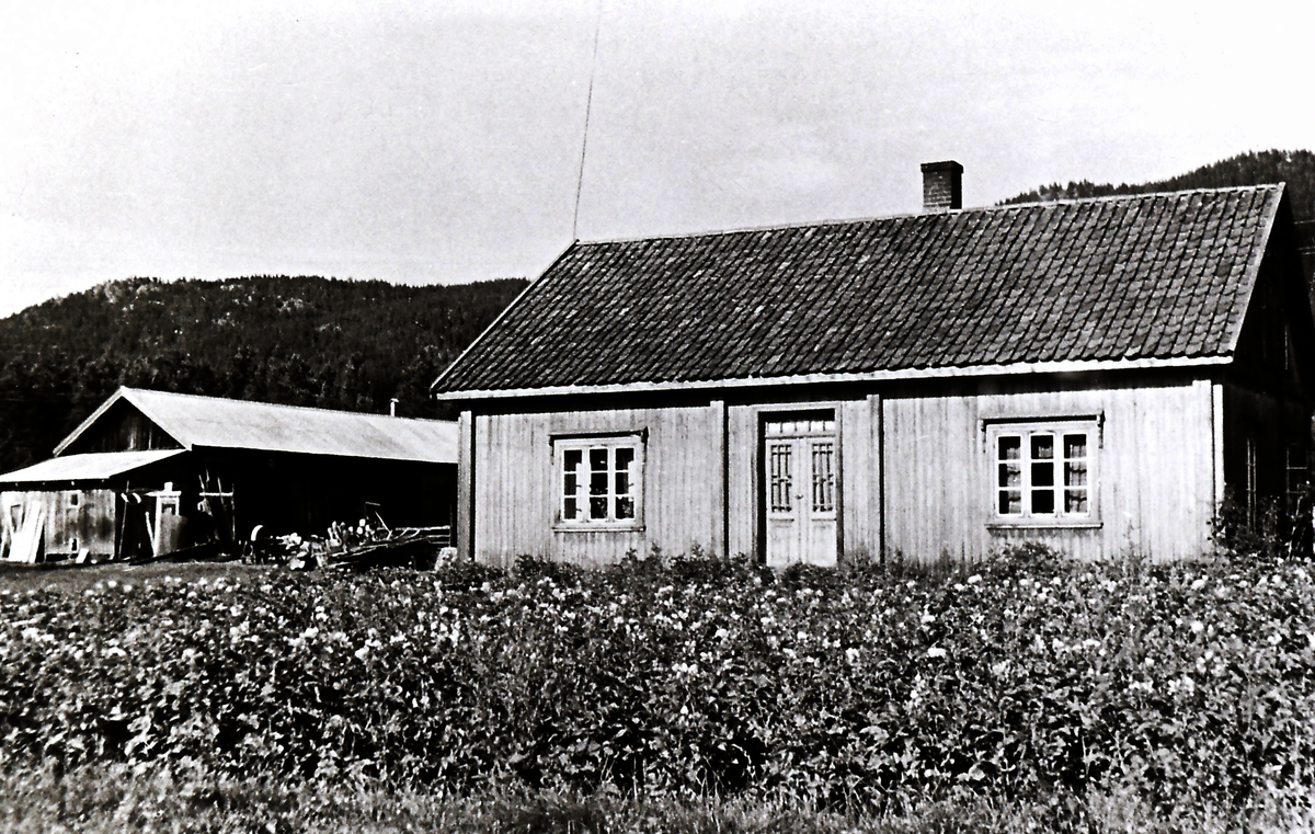 Småbruket Årdalsplass i Bevergrenda fra 1850 bygd av Even Pedersen Henklev.
Tømmerhus inntil 1936.