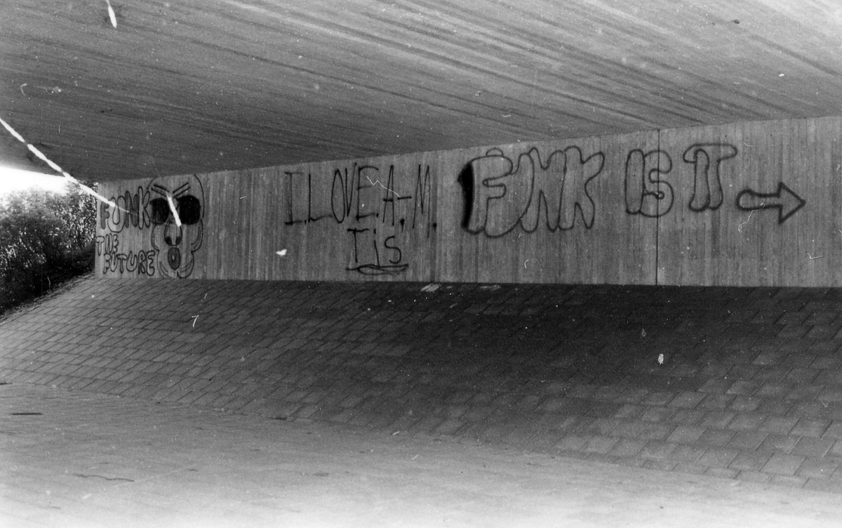 Halmstad, Norra vägen, Kastanjeallén.
Viadukten vid Kastanjeallén.