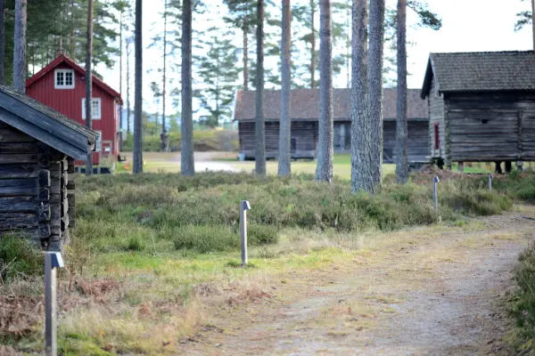 Drangedal bygdetun