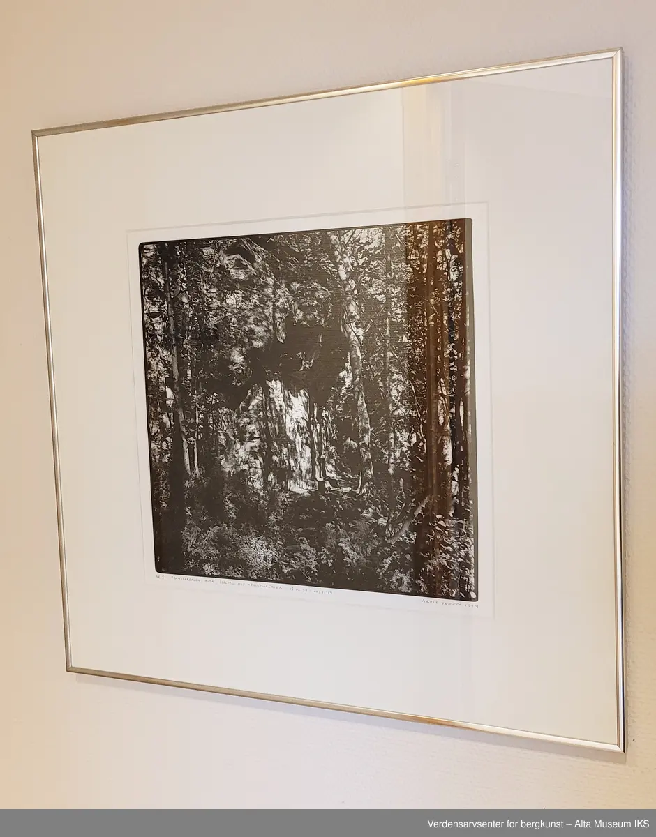 Mytisk landskap [Fotografisk verk]