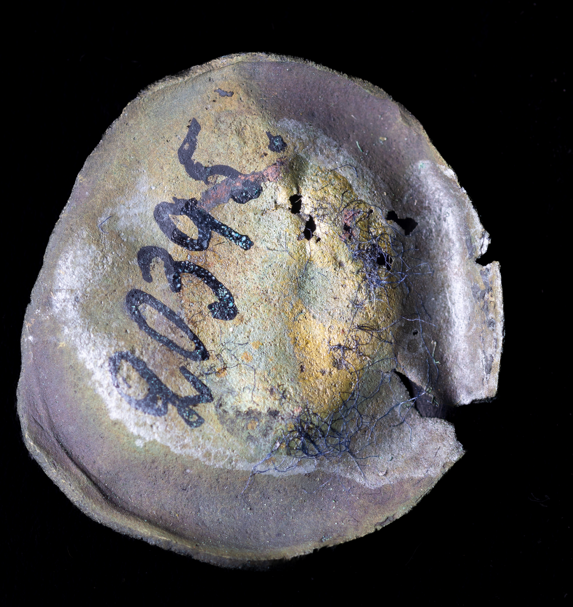 Mynt. Arkeologiskt föremål.