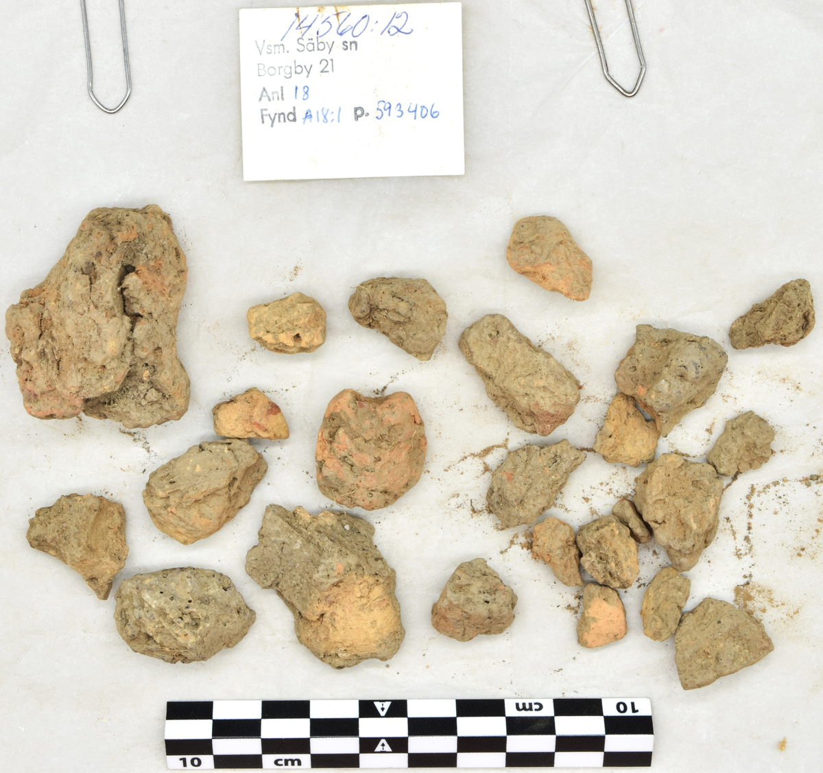 Arkeologifynd