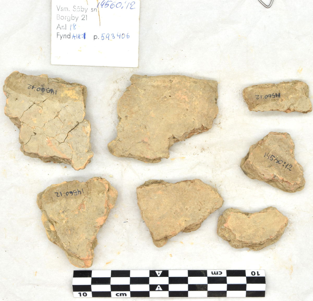 Arkeologifynd