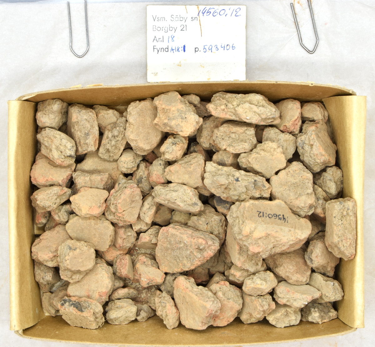 Arkeologifynd