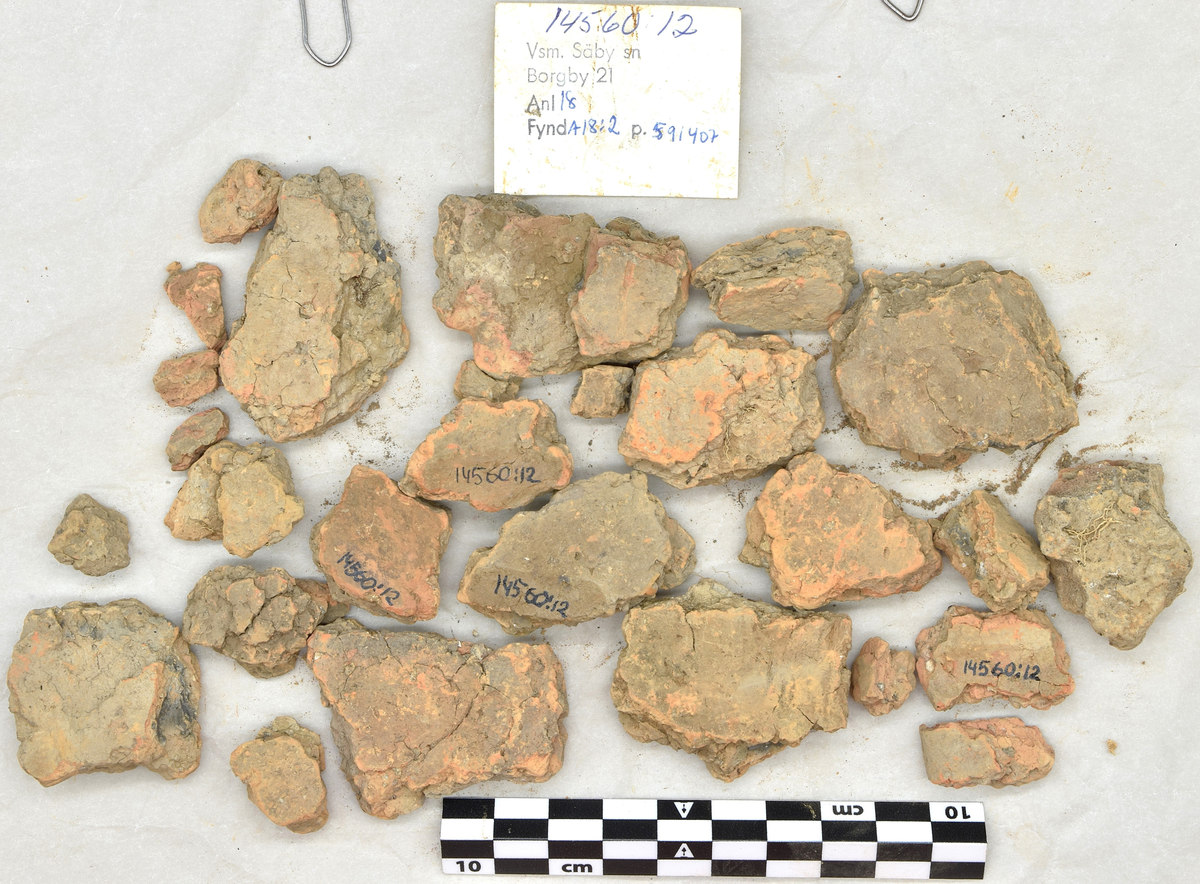 Arkeologifynd