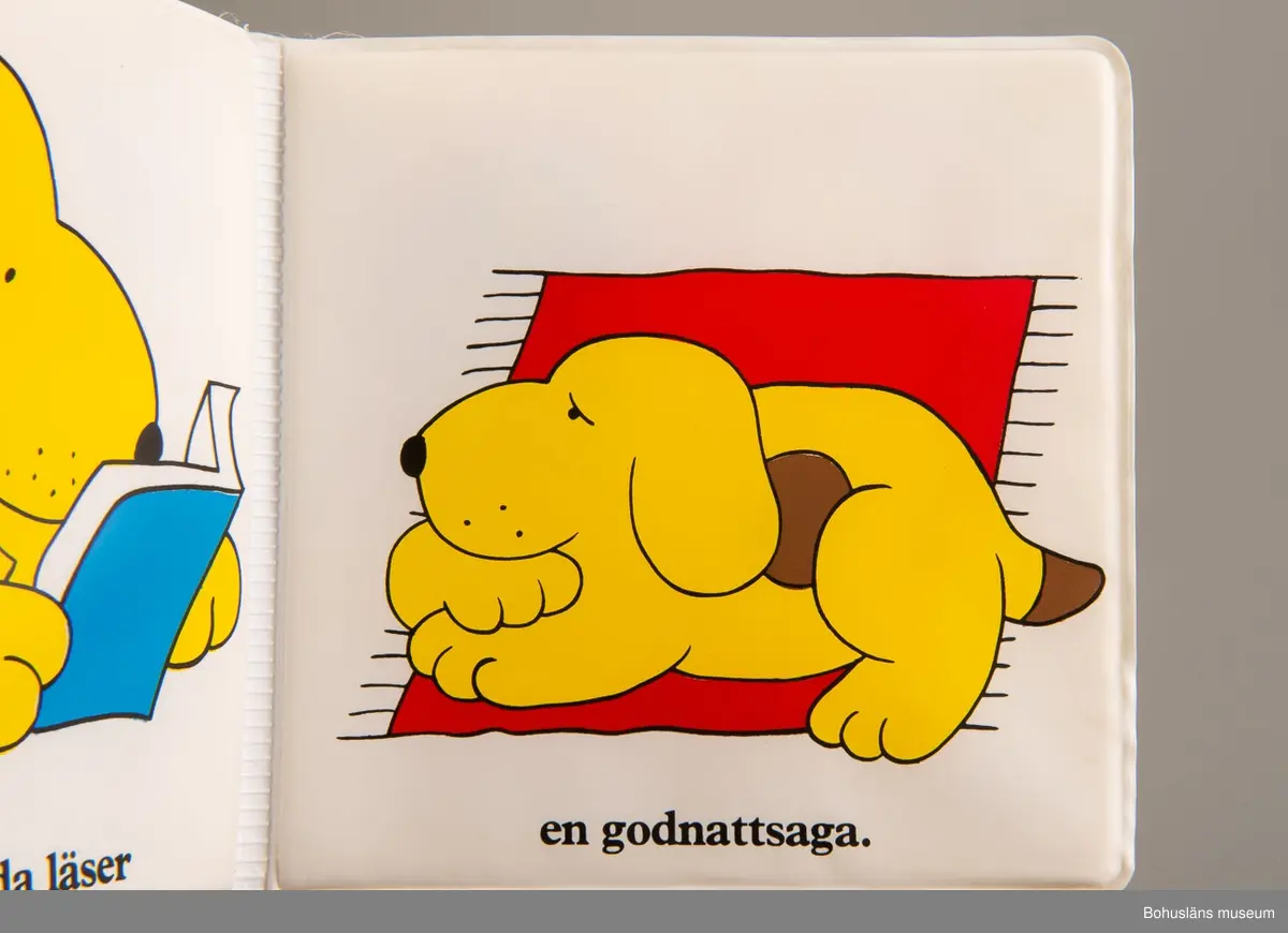Bok