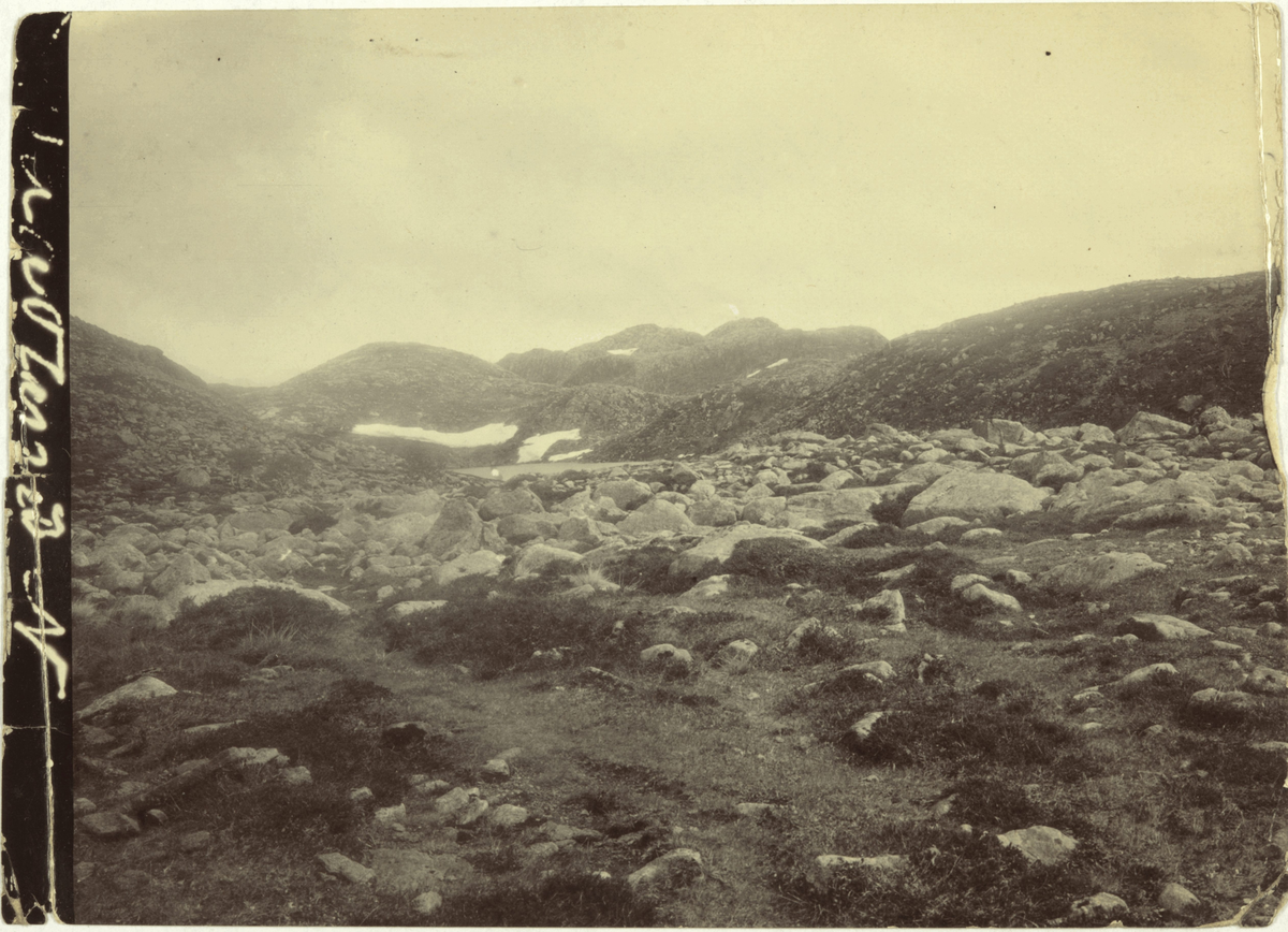 Eit fjelllandskap med ei steinur. På baksida av bildet står det: "Vaadlandsnuterne Madlandsfjeld Gjesdal".