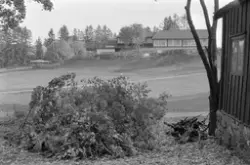 Hamar, Hedmarkstunet, Hedmarksmuseet og Domkirkeodden, Resta