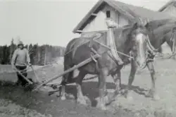 Vang H, Ophus søndre, våronn, Martin Ophus med tospann heste