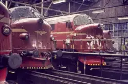 Diesellokomotiver type Di 3 i lokomotivstallen på Marienborg