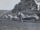 Tre flygplan B 4 Hawker Hart står på linje utanför hangar, omkring år 1934-1937.

Text vid foto: 