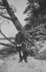 Porträttfoto av militäre flygaren Nils Olof Svensson (senare Sefeldt). Ståendes vid ett träd vid en sjö, april 1935.

Text vid foto: 