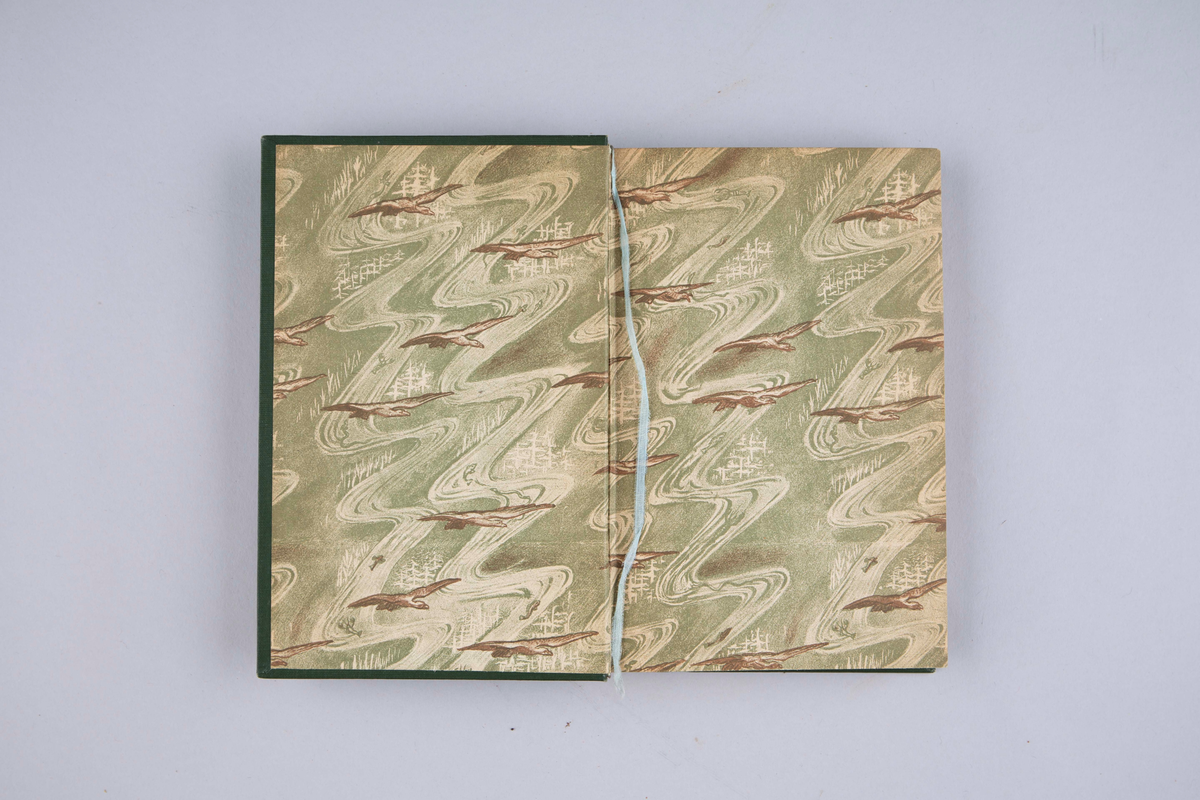 Faste Forland, av Jonas Lie. Innbundet, 257 sider. Kjøbenhavn 1899.