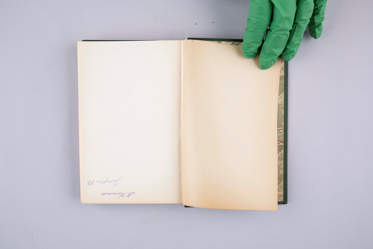 Faste Forland, av Jonas Lie. Innbundet, 257 sider. Kjøbenhavn 1899.