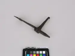 Nedpakkingen av Bontelabo