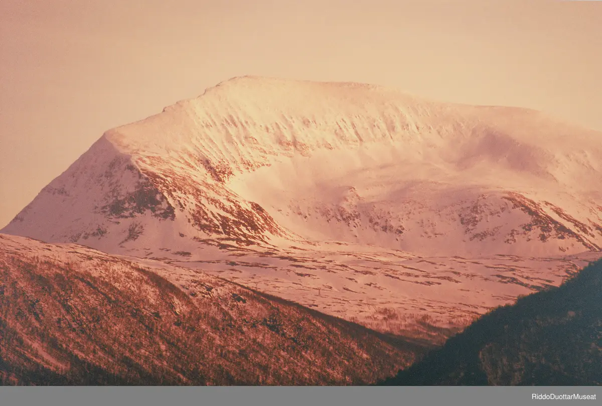 Verket Tinden / Sálašoaivi er en serie fotografier som portretterer Tinden gjennom de ulike årstidene under skiftende vær- og lysforhold. Verket består av til sammen tolv bilder av fjellet Tromsdalstinden som befinner seg i Tromsø. Fotografiene er tatt i perioden 2003-2006.