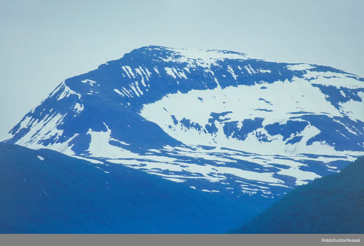 Verket Tinden / Sálašoaivi er en serie fotografier som portretterer Tinden gjennom de ulike årstidene under skiftende vær- og lysforhold. Verket består av til sammen tolv bilder av fjellet Tromsdalstinden som befinner seg i Tromsø. Fotografiene er tatt i perioden 2003-2006.