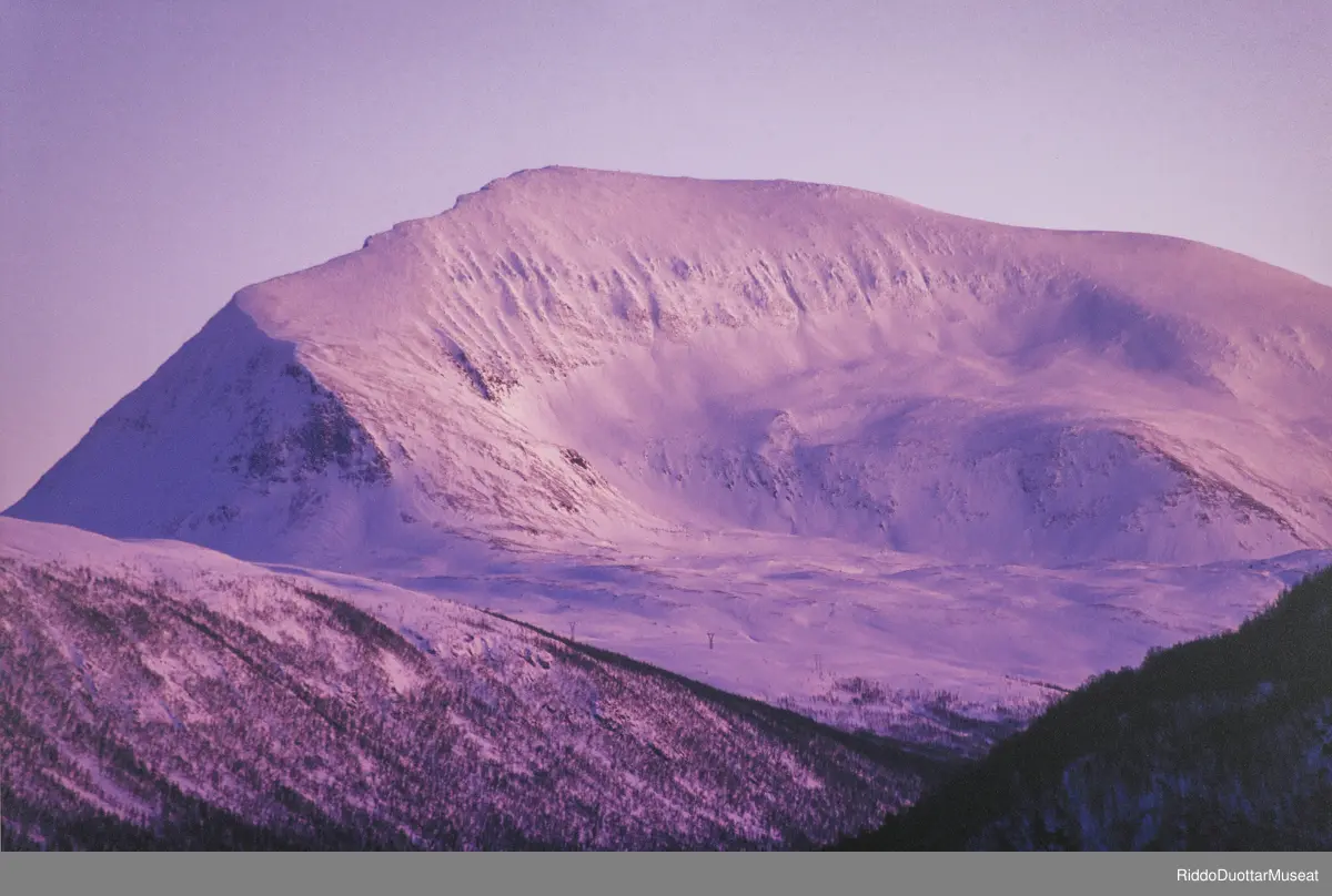 Verket Tinden / Sálašoaivi er en serie fotografier som portretterer Tinden gjennom de ulike årstidene under skiftende vær- og lysforhold. Verket består av til sammen tolv bilder av fjellet Tromsdalstinden som befinner seg i Tromsø. Fotografiene er tatt i perioden 2003-2006.