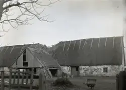 Bild 1154. Ladubyggnaden till Närs prästgård sydvästra parti