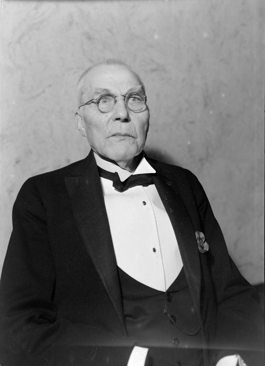 Anton Nicolai Nicolaisen