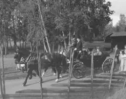 Signingsreisen 1991, Domkirkeodden, Kong Harald 5 , dronning