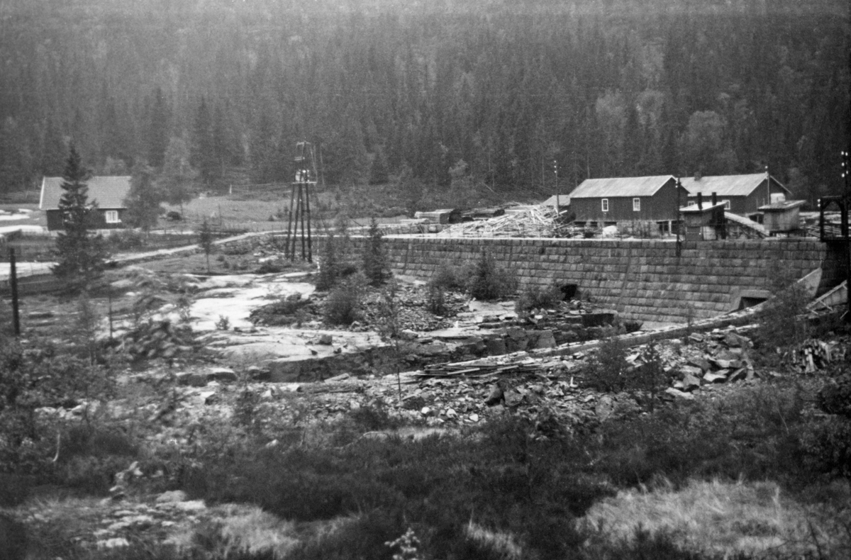 Mykle dam, som ligger i grenseområdet mellom Sandsvær i Buskerud og Siljan i Telemark.  Dammen, som her er fotografert fra øst, var bygd av kvadret naturstein.  Til venstre i bildet ser vi vokterboligen med granskog i bakgrunnen, til høyre ser vi et lite sagbruk. Mykledammen ligger, som navnet antyder, ved Myklevannets utløp i sør, der Mykleelva (på noen kart også kalt Møkleelva) renner sørover gjennom Grorud-grenda, hvor Treschow-Fritzøe hadde store skogarealer.  Selskapet brukte vassdraget som transportåre for tømmeret fra disse skogene. 

Siljanvassdraget ble utbygd av Vestfold kraftselskap omkring 1920. Det øverste magasinet er Ramsvatn, som ligger om lag 500 meter over havet, mens det langt større Myklevannet , 420 meter over havet, er det neste. Videre nedover er det dammer ved Sporevatn, Vanebuvatn, Goringen og Farrisvannet. I Siljanvassdraget er det kraftstasjoner ved Toklev, Hogstad, Sagfossen, Kiste og hos Treschow-Fritzøe i Farriselva i Hammerdalen, i Larvik by. Alle disse kraftverkene nyter godt av Mykle som vannmagasin.  Da dette fotografiet ble tatt hadde Vestfold kraftselskap også planer om å bygge en kraftstasjon i Mykleelva, med en fallhøyde på 64 meter fra dammen på bildet, men dette prosjektet ble aldri realisert.