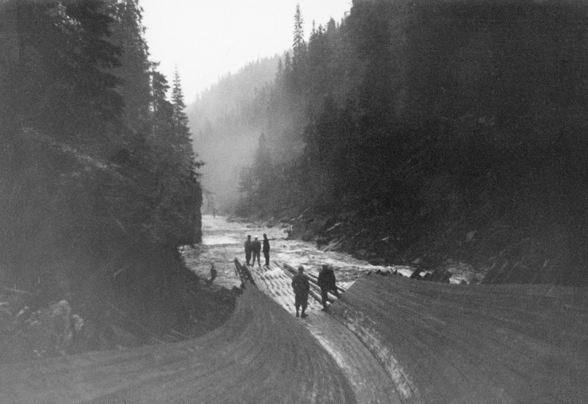 Den nedre delen av tømmerenna ved Langlivannet i Sørkedalsvassdraget, fotografert under ei befaring i 1943. Renna var lagd av tre, av skårne planker, bygd på et rammeverk som gav den et trapesformet tverrsnitt. Da dette fotografiet ble tatt var den tørrlagt, men i fløtingssesongen ble det tappet såpass mye vann i renna at tømmeret fra ovenforliggende skoger kunne flyte uskadd fra den ovenforliggende dammen og ned i det nedenforliggende elveløpet. I overgangssona mellom renna og det steinete elveløpet lå det rister av rundtømmer, såkalte golvinger eller flakninger som skulle hindre utvasking og spare stokkene for splintringsskader i møtet med det steinete elveløpet. Denne renna kom fra Langlidammen, en 30 meter høy betongdam. Den ble bygd i 1939-1942 med henblikk på at den skulle magasinere vann for husholdningene i daværende Aker herred. Dette var også et fløtingsvassdrag, så dammen måtte bygges med et tømmerløp og ei renne, som skulle føre tømmeret uskadd ned i Langlielva, nedenfor dammen. Der skulle tømmeret flyte med strømmen videre nedover til Bogstadvannet. 

Da Langlidammen sto ferdig i 1942 ble den karakterisert som Nord-Europas største fangdam. Ambisjonen var at den skulle kunne levere 24 000 liter godt drikkevann i minuttet.