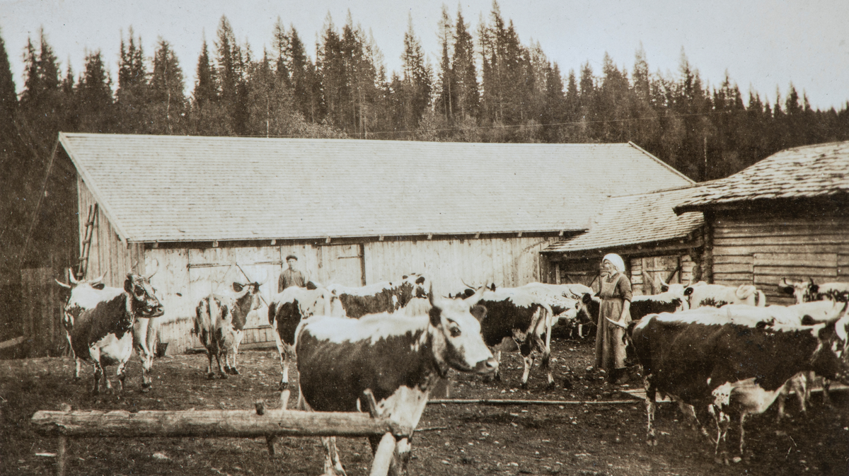 GAMLE FJØSET, NYE FJØSET, MARIE SANDVOLD TIL HØYRE. GJETERGUTT, TELEMARKSKUER, ØYA SETER UNDER SKRAMSTAD, ÅSTADALEN, VANG ALLMENNING