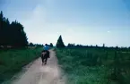 Man rider på häst på Pampas, Argentina.