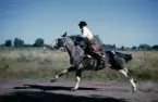 Ryttare på galopperande häst på agentinska landsbygden.