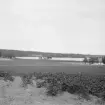 Borlänge, Torsång, L.Ornäs. Vik av Ornäs, Haganäs och Tomnäs från St.Ornäs Ösjön. 1921-1926.