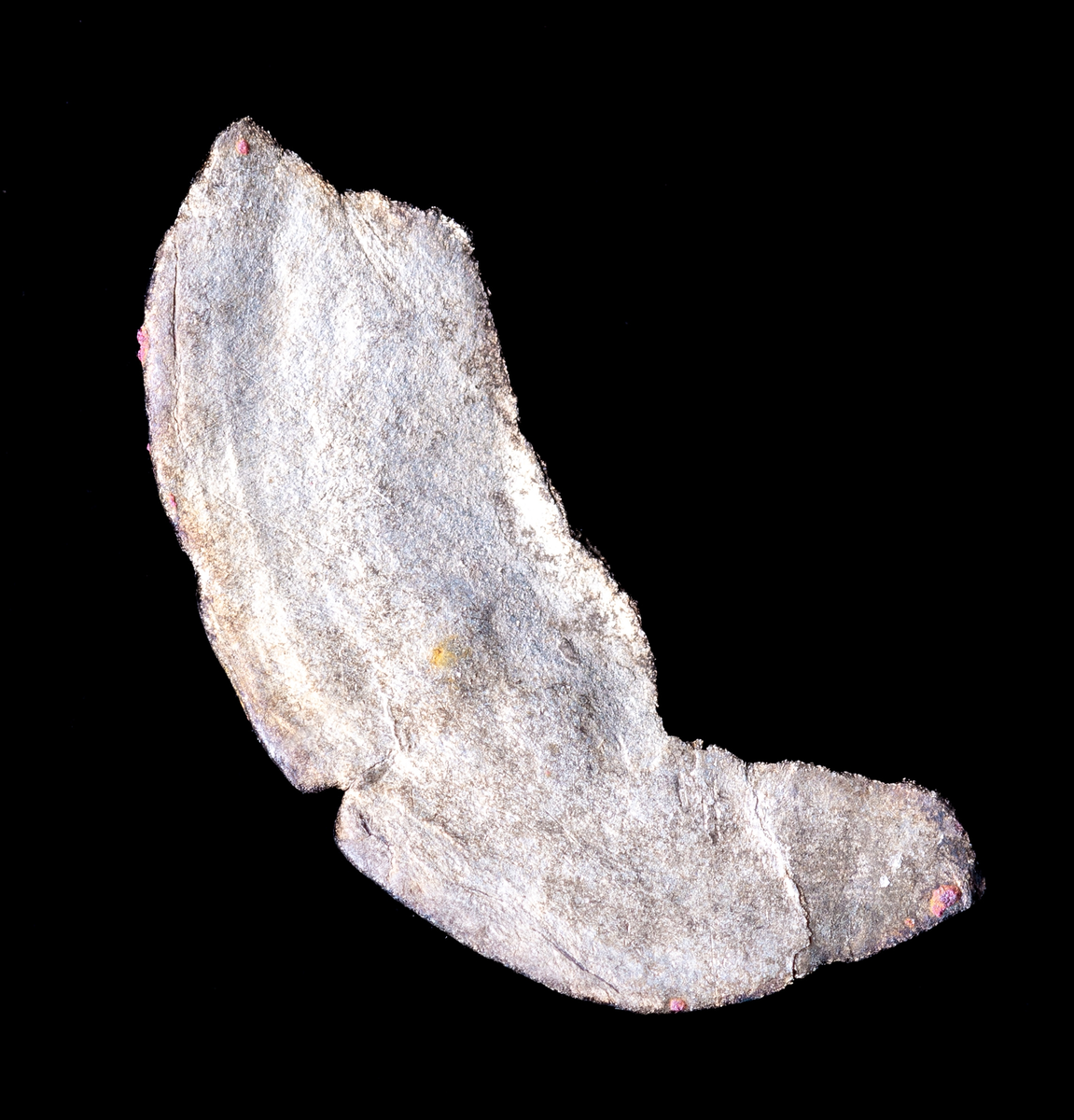 Mynt. Arkeologiskt föremål.