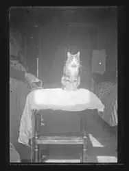 Karlskrona omgifningen - Motiv från Werkö.