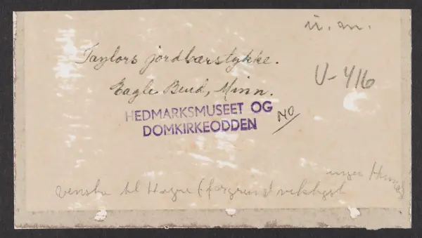 Picking Taylor's fancy strawberries, Eagle Bend, Minn.