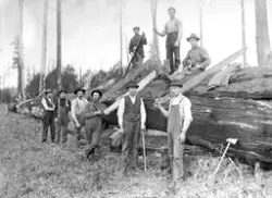 Historiske utvandrerbilder