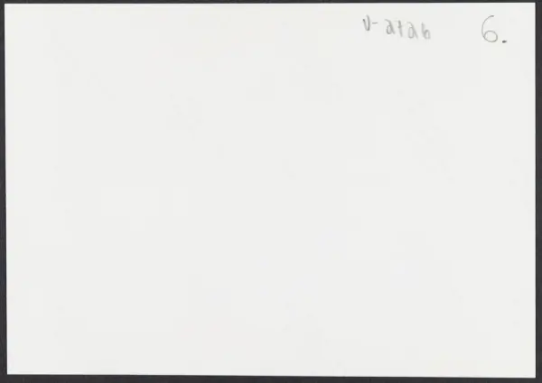 Enkel trebyggning med saltak - en stor gruppe
mennesker fora