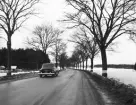 Malmslättsvägen sedd mot väster. Fotografen stod där Malmslättsvägen idag ansluter från väster mot Vallarondellen. Till vänster ser man Valla koloniområde. 1950-tal. 


...

385 bilder om Linköping på 1950-talet från tidningen Östgötens arkiv. Framtidstro och optimism är ord som sammanfattar Linköping på femtiotalet. Årtiondet innebar satsningar för att förbättra linköpingsbornas livsvillkor. Bostadsfrågan och trafiklösningarna dominerade den lokalpolitiska agendan.
Bilderna digitaliserades år 2013.