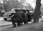 Tre droskchaufförer i väntan på kunder i maj 1952. Tidigare hade de en parkbänk att sitta på , men den här våren fanns ingen bänk på platsen. Namn på herrarna från vänster: Axel Svensson, Ragnar Andersson och Erik Edberg.
Den främre bilen var av märket Austin, välkänd från London.

Bilarna står på Järnvägsstationen. Linköpings tågstation. Taxi. Paus,


 ...

385 bilder om Linköping på 1950-talet från tidningen Östgötens arkiv. Framtidstro och optimism är ord som sammanfattar Linköping på femtiotalet. Årtiondet innebar satsningar för att förbättra linköpingsbornas livsvillkor. Bostadsfrågan och trafiklösningarna dominerade den lokalpolitiska agendan.
Bilderna digitaliserades år 2013.