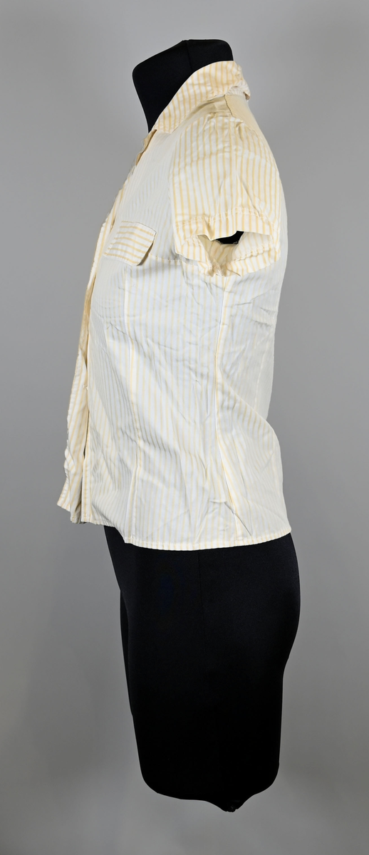 Blus i gul- och vitrandig textil till arbetsuniform för kvinnlig flygbolagspersonal. Blusen är kortärmad med dubbla utvikta kragsnibbar. Blusen har enkel knäppning med pärlemorsfärgade plastknappar och två bröstfickor med lock.

Lappen i nacken har försvunnit och lämnat textilfibrer kvar. Den liknar en blus som togs fram för SAS år 1966. Möjligen ett provexemplar.