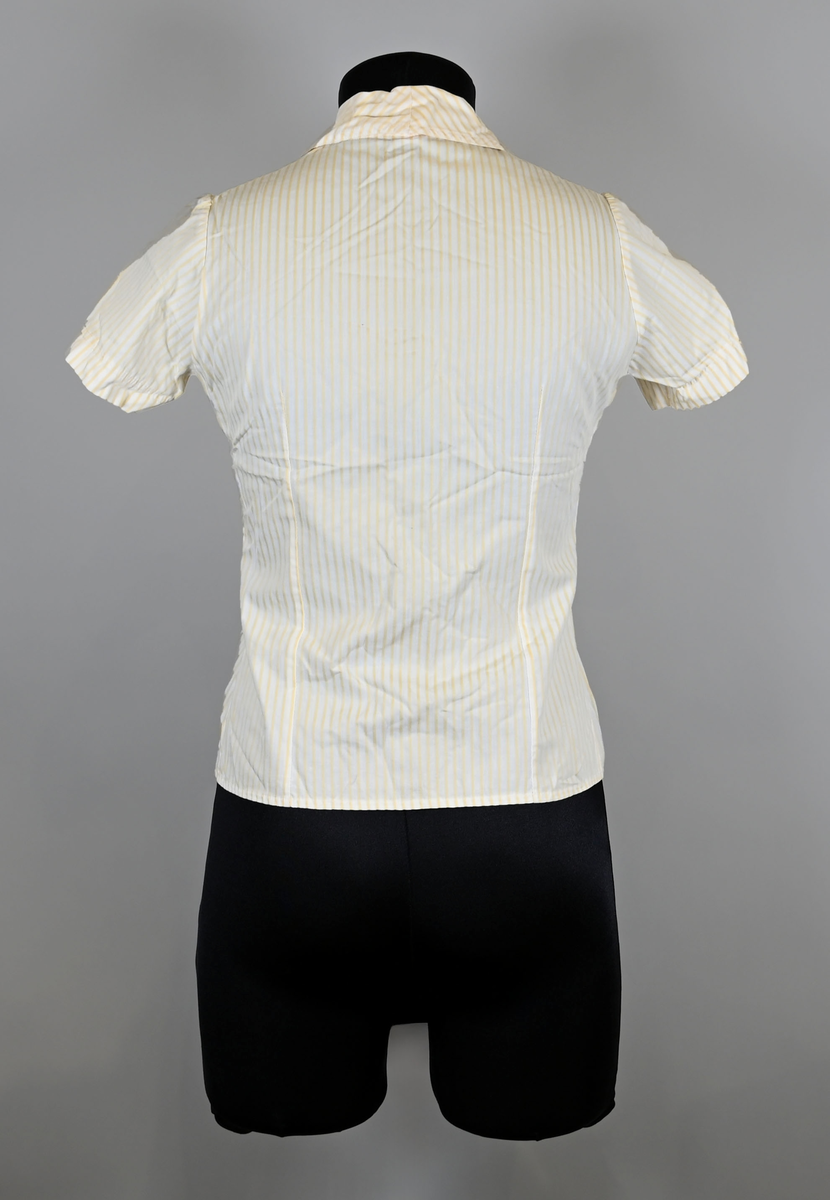 Blus i gul- och vitrandig textil till arbetsuniform för kvinnlig flygbolagspersonal. Blusen är kortärmad med dubbla utvikta kragsnibbar. Blusen har enkel knäppning med pärlemorsfärgade plastknappar och två bröstfickor med lock.

Lappen i nacken har försvunnit och lämnat textilfibrer kvar. Den liknar en blus som togs fram för SAS år 1966. Möjligen ett provexemplar.