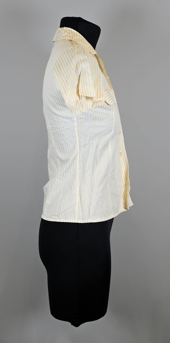 Blus i gul- och vitrandig textil till arbetsuniform för kvinnlig flygbolagspersonal. Blusen är kortärmad med dubbla utvikta kragsnibbar. Blusen har enkel knäppning med pärlemorsfärgade plastknappar och två bröstfickor med lock.

Lappen i nacken har försvunnit och lämnat textilfibrer kvar. Den liknar en blus som togs fram för SAS år 1966. Möjligen ett provexemplar.